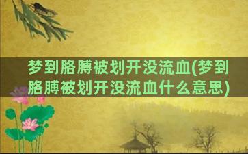 梦到胳膊被划开没流血(梦到胳膊被划开没流血什么意思)