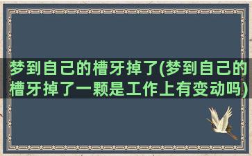 梦到自己的槽牙掉了(梦到自己的槽牙掉了一颗是工作上有变动吗)