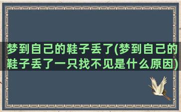 梦到自己的鞋子丢了(梦到自己的鞋子丢了一只找不见是什么原因)