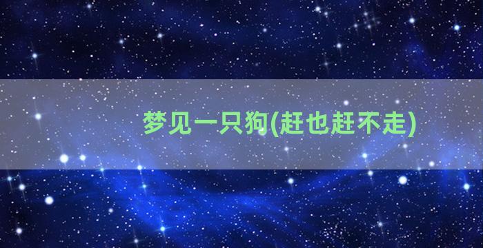 梦见一只狗(赶也赶不走)