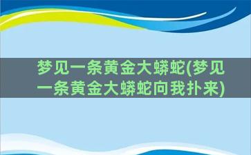 梦见一条黄金大蟒蛇(梦见一条黄金大蟒蛇向我扑来)