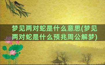 梦见两对蛇是什么意思(梦见两对蛇是什么预兆周公解梦)