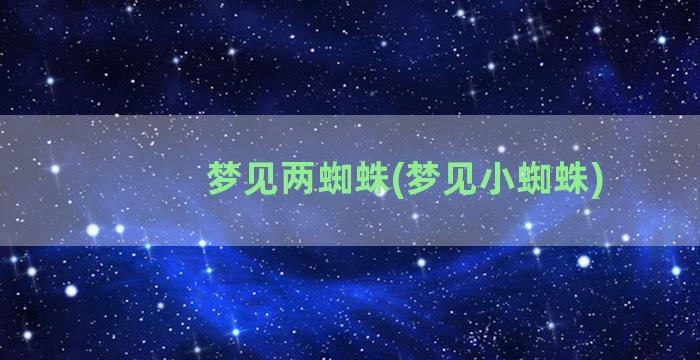 梦见两蜘蛛(梦见小蜘蛛)