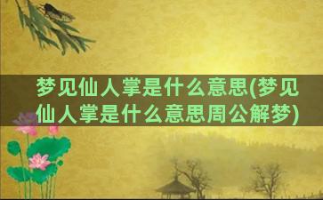 梦见仙人掌是什么意思(梦见仙人掌是什么意思周公解梦)