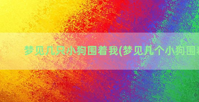 梦见几只小狗围着我(梦见几个小狗围着自己)