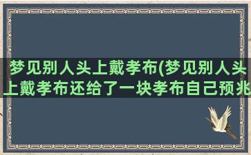 梦见别人头上戴孝布(梦见别人头上戴孝布还给了一块孝布自己预兆)