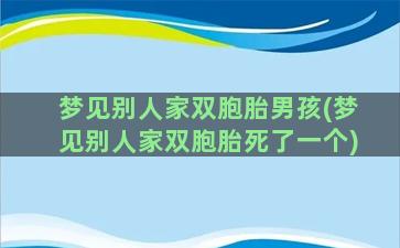 梦见别人家双胞胎男孩(梦见别人家双胞胎死了一个)