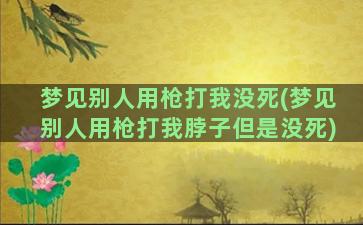 梦见别人用枪打我没死(梦见别人用枪打我脖子但是没死)