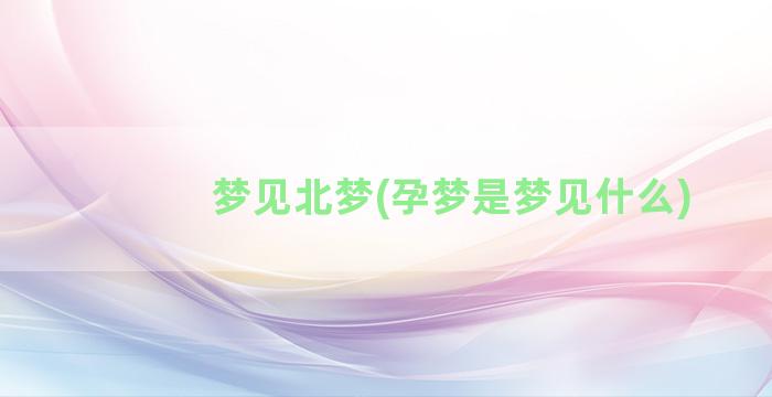 梦见北梦(孕梦是梦见什么)