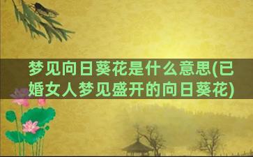 梦见向日葵花是什么意思(已婚女人梦见盛开的向日葵花)