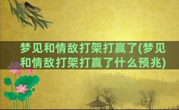 梦见和情敌打架打赢了(梦见和情敌打架打赢了什么预兆)