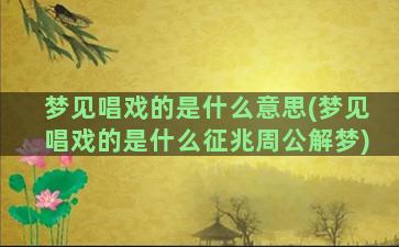 梦见唱戏的是什么意思(梦见唱戏的是什么征兆周公解梦)