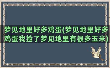 梦见地里好多鸡蛋(梦见地里好多鸡蛋我捡了梦见地里有很多玉米)