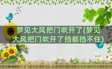 梦见大风把门吹开了(梦见大风把门吹开了挡都挡不住)