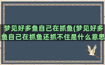 梦见好多鱼自己在抓鱼(梦见好多鱼自己在抓鱼还抓不住是什么意思)