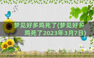 梦见好多鸡死了(梦见好多鸡死了2023年3月7日)