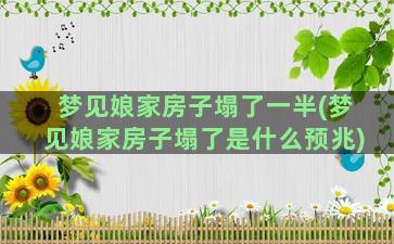 梦见娘家房子塌了一半(梦见娘家房子塌了是什么预兆)