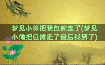 梦见小偷把我包偷走了(梦见小偷把包偷走了最后找到了)