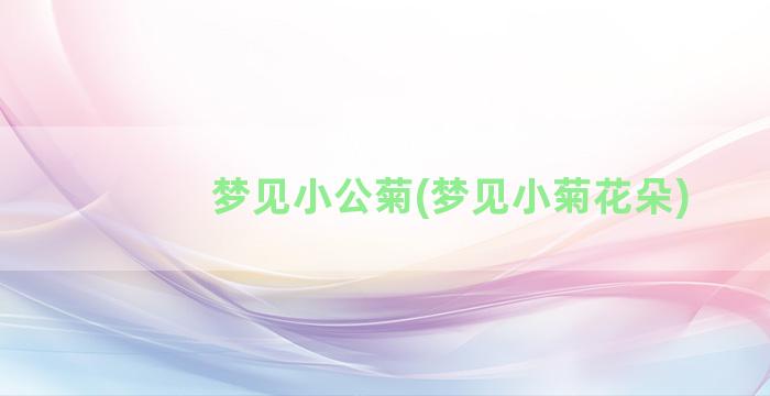 梦见小公菊(梦见小菊花朵)