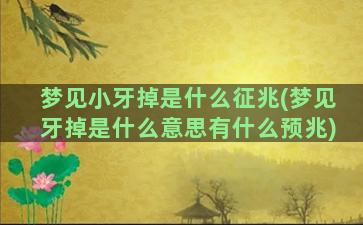 梦见小牙掉是什么征兆(梦见牙掉是什么意思有什么预兆)