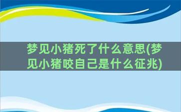 梦见小猪死了什么意思(梦见小猪咬自己是什么征兆)