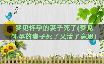 梦见怀孕的妻子死了(梦见怀孕的妻子死了又活了意思)