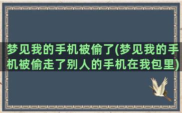 梦见我的手机被偷了(梦见我的手机被偷走了别人的手机在我包里)