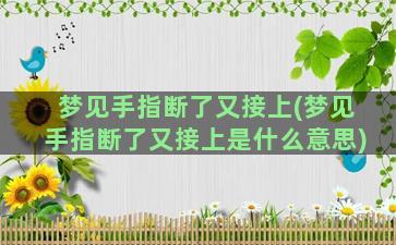 梦见手指断了又接上(梦见手指断了又接上是什么意思)