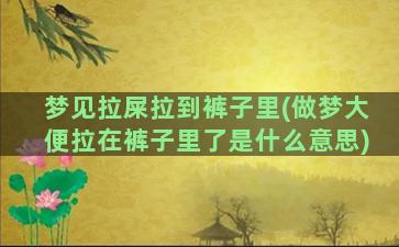 梦见拉屎拉到裤子里(做梦大便拉在裤子里了是什么意思)