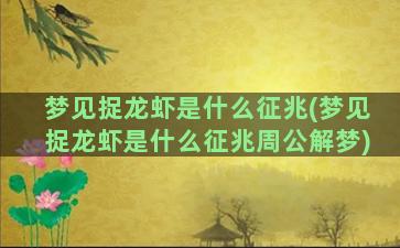 梦见捉龙虾是什么征兆(梦见捉龙虾是什么征兆周公解梦)