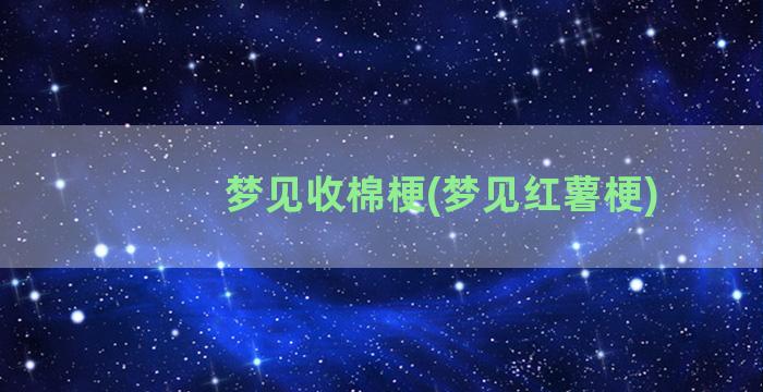 梦见收棉梗(梦见红薯梗)