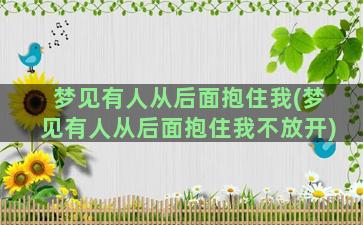 梦见有人从后面抱住我(梦见有人从后面抱住我不放开)