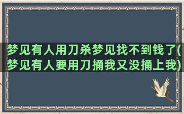 梦见有人用刀杀梦见找不到钱了(梦见有人要用刀捅我又没捅上我)