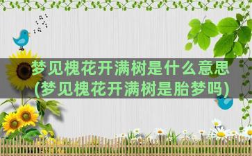 梦见槐花开满树是什么意思(梦见槐花开满树是胎梦吗)