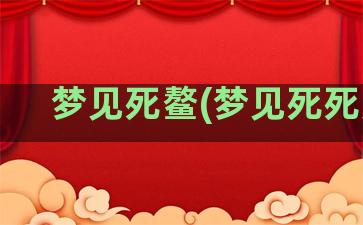 梦见死鳌(梦见死死尸)