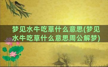 梦见水牛吃草什么意思(梦见水牛吃草什么意思周公解梦)