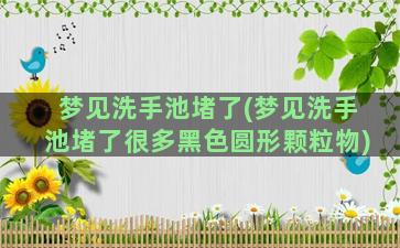 梦见洗手池堵了(梦见洗手池堵了很多黑色圆形颗粒物)