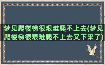 梦见爬楼梯很艰难爬不上去(梦见爬楼梯很艰难爬不上去又下来了)