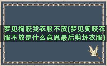 梦见狗咬我衣服不放(梦见狗咬衣服不放是什么意思最后剪坏衣服)