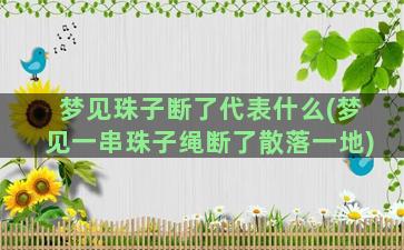 梦见珠子断了代表什么(梦见一串珠子绳断了散落一地)