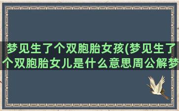 梦见生了个双胞胎女孩(梦见生了个双胞胎女儿是什么意思周公解梦)