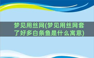 梦见用丝网(梦见用丝网套了好多白条鱼是什么寓意)