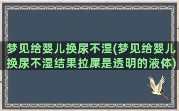 梦见给婴儿换尿不湿(梦见给婴儿换尿不湿结果拉屎是透明的液体)