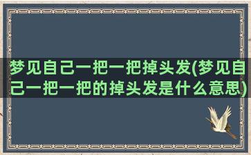 梦见自己一把一把掉头发(梦见自己一把一把的掉头发是什么意思)