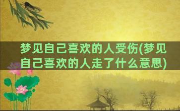 梦见自己喜欢的人受伤(梦见自己喜欢的人走了什么意思)