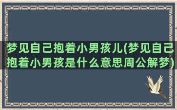 梦见自己抱着小男孩儿(梦见自己抱着小男孩是什么意思周公解梦)