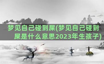 梦见自己碰到屎(梦见自己碰到屎是什么意思2023年生孩子)