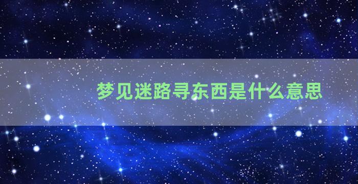 梦见迷路寻东西是什么意思