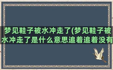 梦见鞋子被水冲走了(梦见鞋子被水冲走了是什么意思追着追着没有水流了)