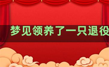 梦见领养了一只退役警犬